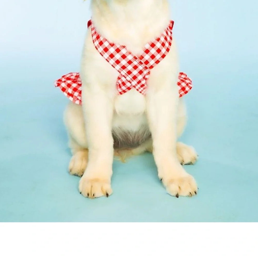 NWT Doggy Parton Red Gingham Overalls Dress Sz: Large 2 & XXL: 1